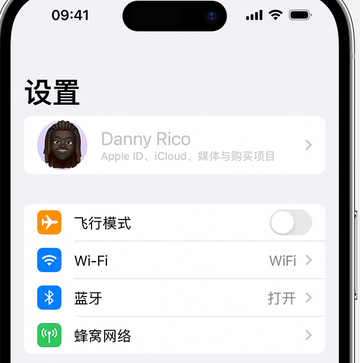 三都appleID维修服务iPhone设置中Apple ID显示为灰色无法使用 