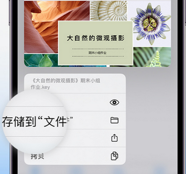 三都apple维修中心分享iPhone文件应用中存储和找到下载文件