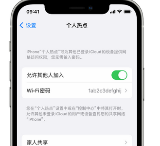 三都apple服务站点分享iPhone上个人热点丢失了怎么办 