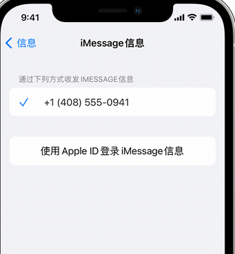 三都apple维修iPhone上无法正常发送iMessage信息 