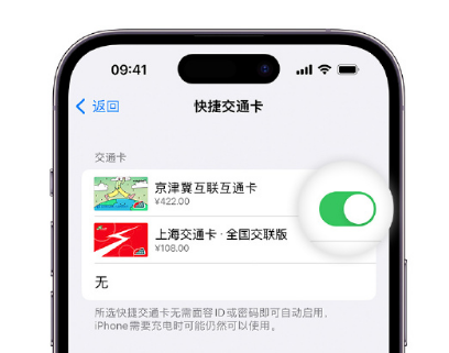 三都apple维修点分享iPhone上更换Apple Pay快捷交通卡手绘卡面 