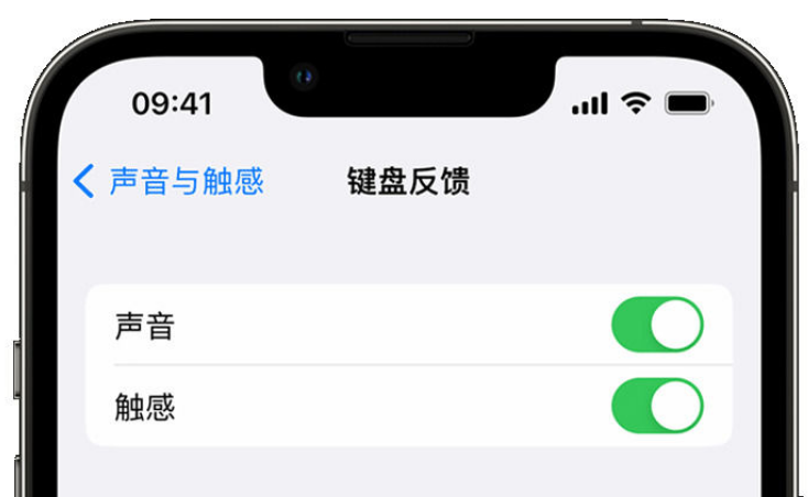 三都苹果手机维修分享iPhone 14触感键盘使用方法 