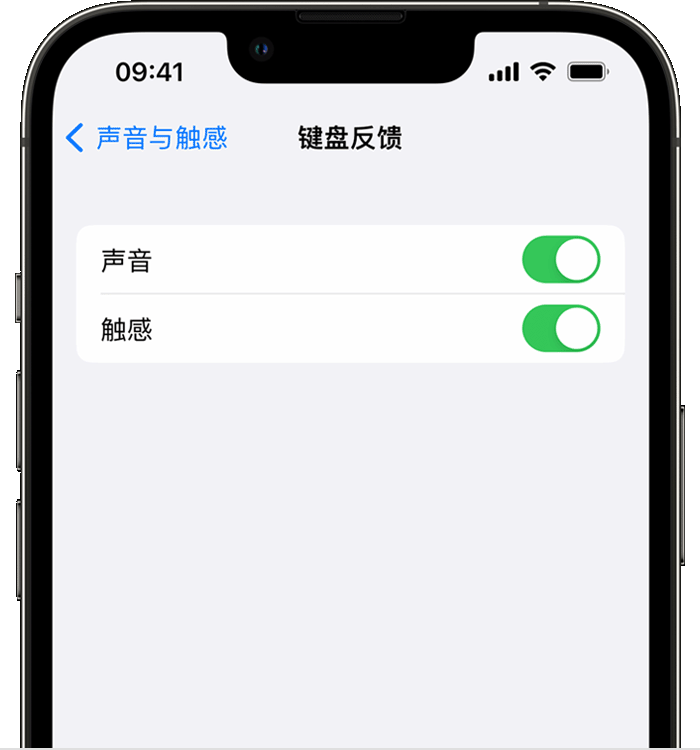 三都苹果14维修店分享如何在 iPhone 14 机型中使用触感键盘 