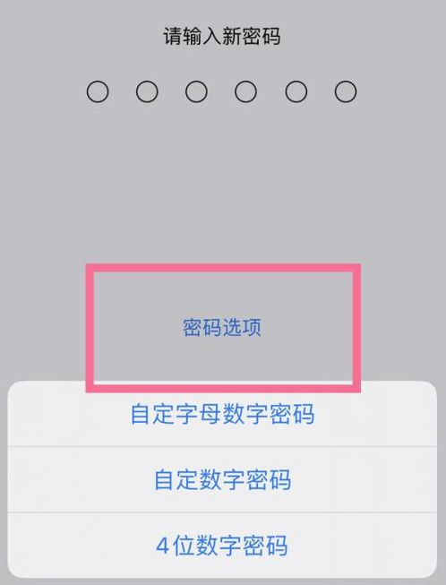 三都苹果14维修分享iPhone 14plus设置密码的方法 