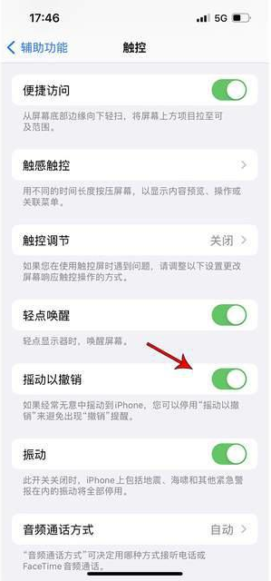 三都苹果手机维修分享iPhone手机如何设置摇一摇删除文字 